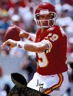 Joe Montana